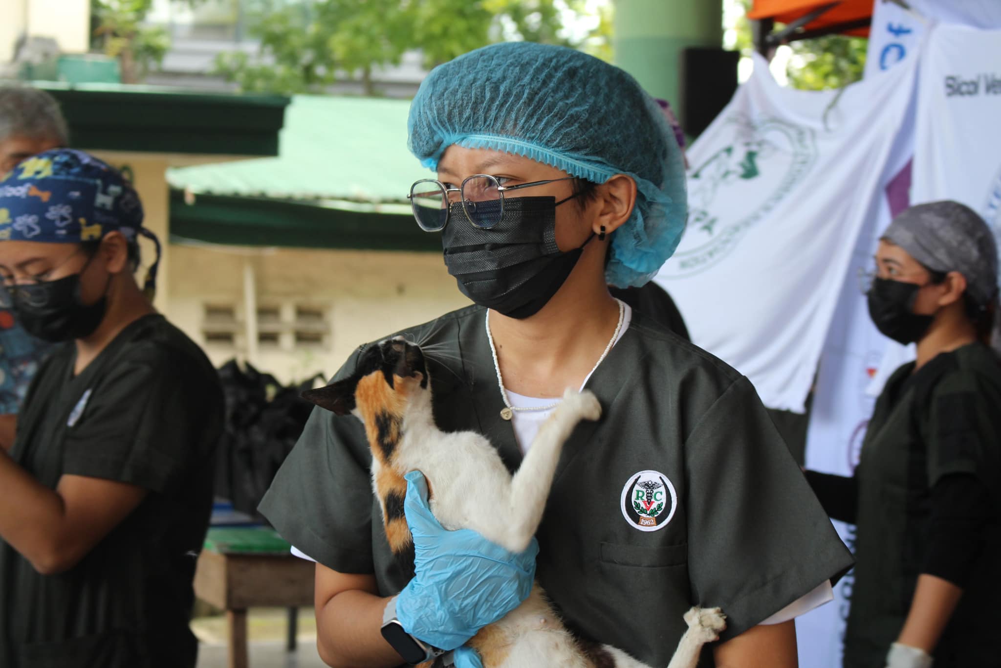 Veterinary Care for Rescues